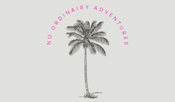 No Ordinary Adventures